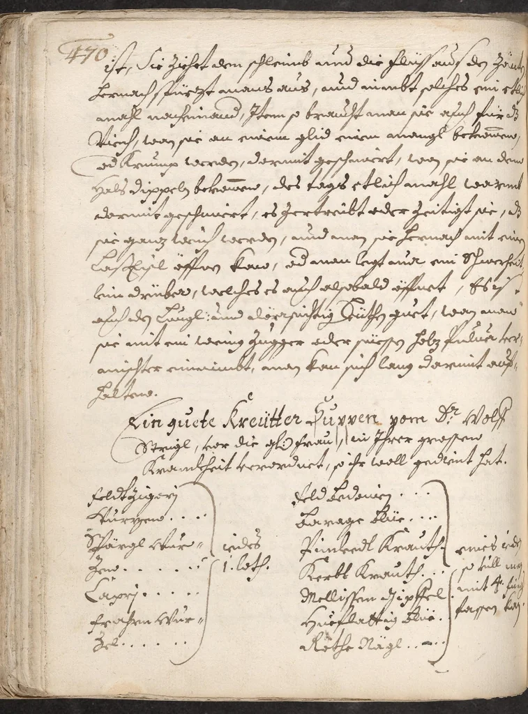 An illustration from Treffliche Arzeneybuch [17--?], 1700, leaf 452