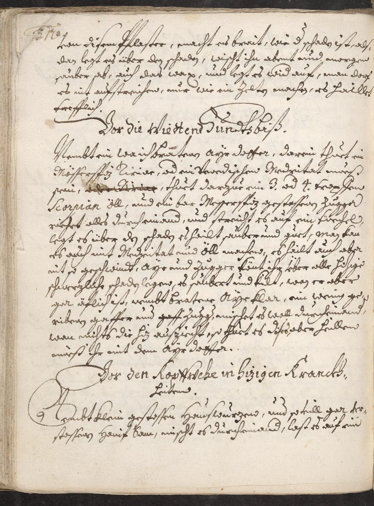 An illustration from Treffliche Arzeneybuch [17--?], 1700, leaf 492