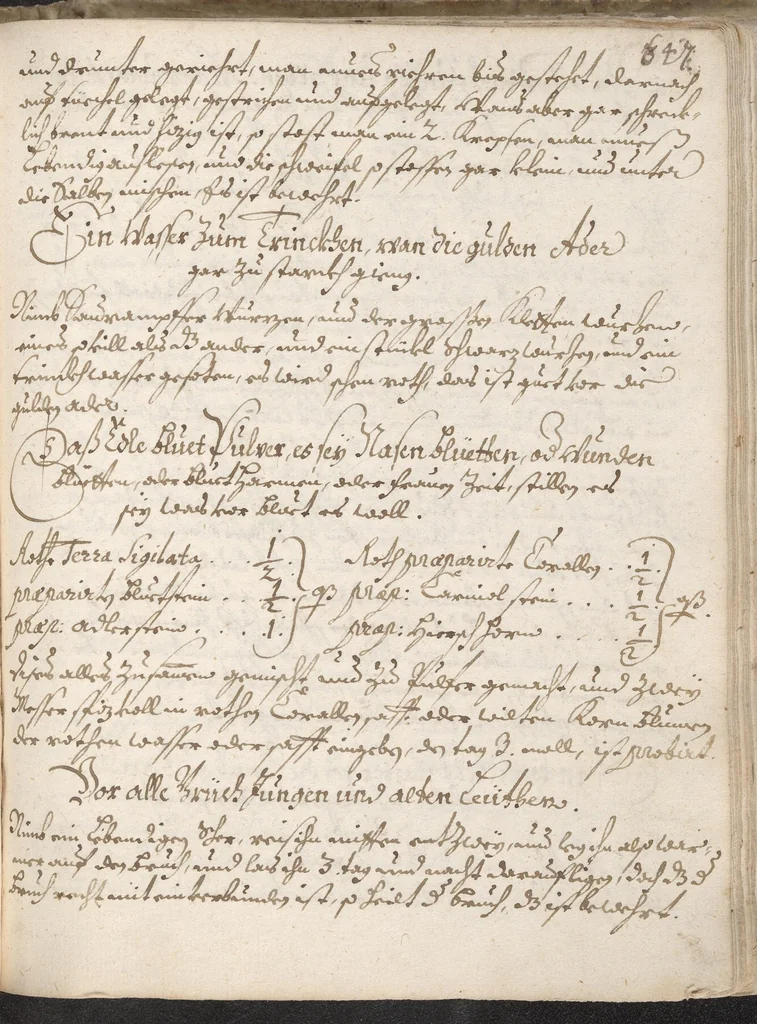 An illustration from Treffliche Arzeneybuch [17--?], 1700, leaf 625
