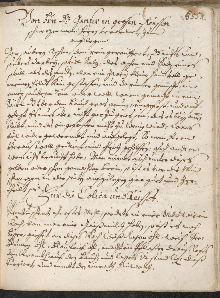 An illustration from Treffliche Arzeneybuch [17--?], 1700, leaf 633