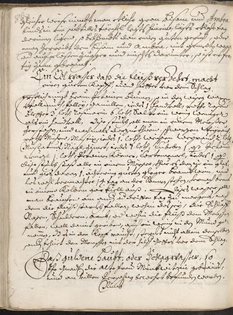 An illustration from Treffliche Arzeneybuch [17--?], 1700, leaf 92