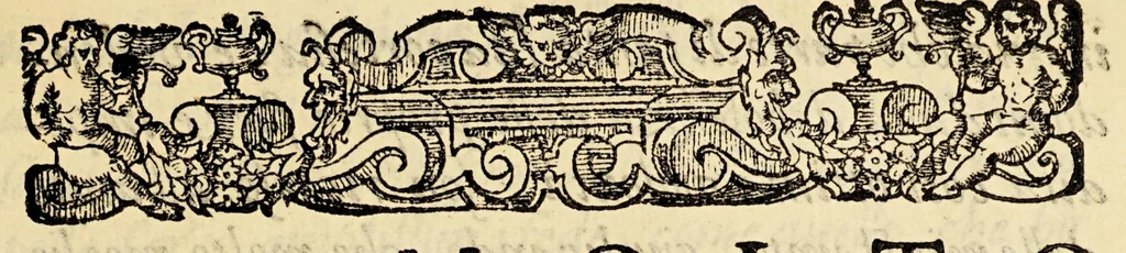 An illustration from Tre nauigationi fatte dagli Olandesi, e Zelandesi al Settentrione nella Noruegia, Moscouia, e Tartaria verso il Catai, e regno de'Sini, doue scopersero il mare di Veygatz, la Nuoua Zembla, et ... la Groenlandia. ..., 1599, leaf 11