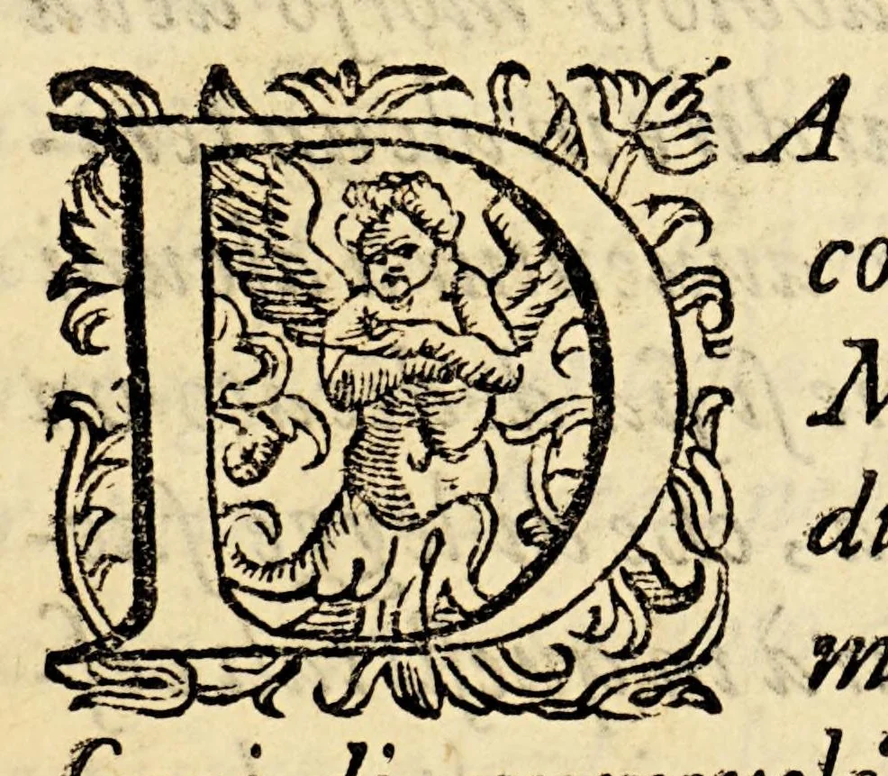 An illustration from Tre nauigationi fatte dagli Olandesi, e Zelandesi al Settentrione nella Noruegia, Moscouia, e Tartaria verso il Catai, e regno de'Sini, doue scopersero il mare di Veygatz, la Nuoua Zembla, et ... la Groenlandia. ..., 1599, leaf 11