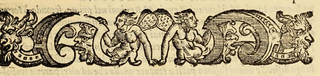 An illustration from Tre nauigationi fatte dagli Olandesi, e Zelandesi al Settentrione nella Noruegia, Moscouia, e Tartaria verso il Catai, e regno de'Sini, doue scopersero il mare di Veygatz, la Nuoua Zembla, et ... la Groenlandia. ..., 1599, leaf 17