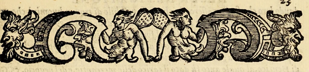 An illustration from Tre nauigationi fatte dagli Olandesi, e Zelandesi al Settentrione nella Noruegia, Moscouia, e Tartaria verso il Catai, e regno de'Sini, doue scopersero il mare di Veygatz, la Nuoua Zembla, et ... la Groenlandia. ..., 1599, leaf 61