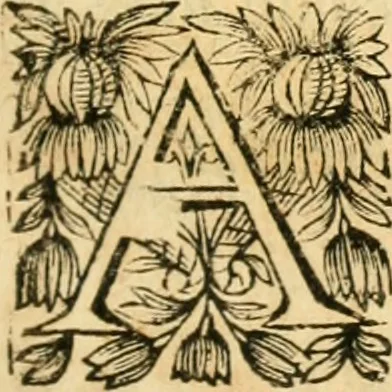 An illustration from Tresor de recherches et antiquitez gavloises et Françoises, reduites en ordre alphabetique : et enrichies de beaucoup d'origines, epitaphes, & autres choses rares & curieuses, comme aussi de beaucoup de mots de la langue thyoise ou theuthfranque, 1655, leaf 108
