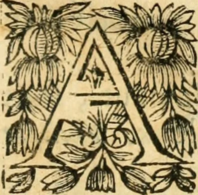 An illustration from Tresor de recherches et antiquitez gavloises et Françoises, reduites en ordre alphabetique : et enrichies de beaucoup d'origines, epitaphes, & autres choses rares & curieuses, comme aussi de beaucoup de mots de la langue thyoise ou theuthfranque, 1655, leaf 564