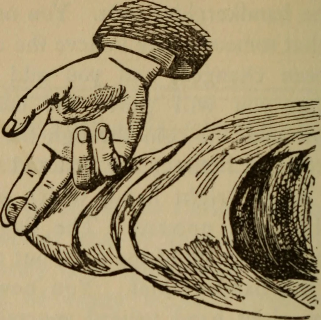 An illustration from Tricks and magic made easy, by Edward Summers Squier, M.A, 1919, leaf 117