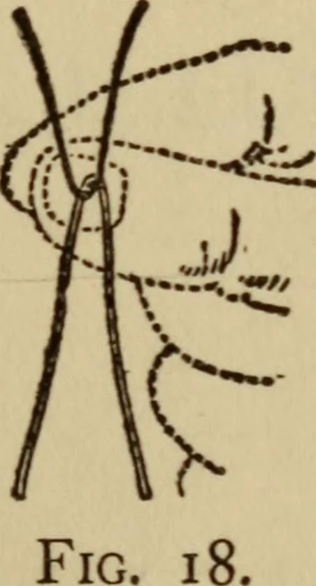 An illustration from Tricks and magic made easy, by Edward Summers Squier, M.A, 1919, leaf 150