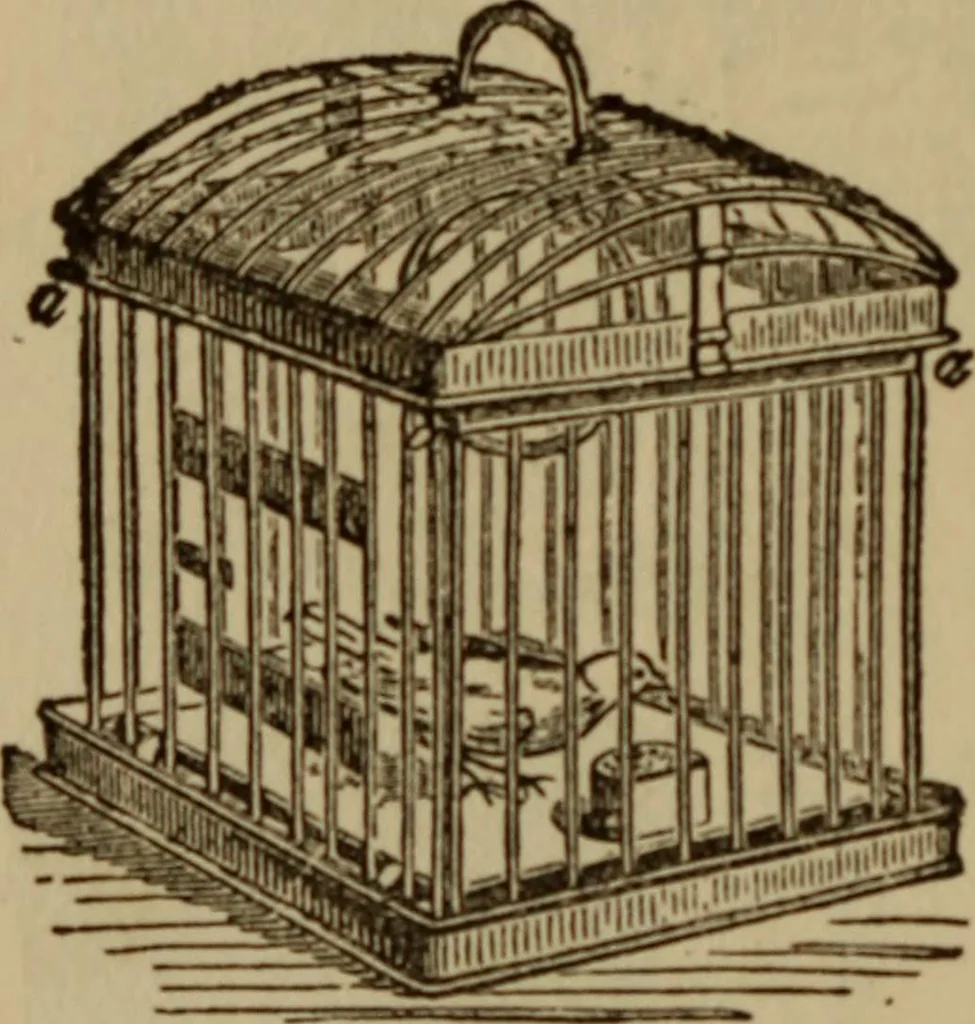 An illustration from Tricks and magic made easy, by Edward Summers Squier, M.A, 1919, leaf 175