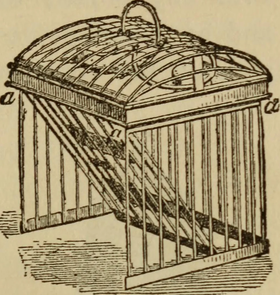 An illustration from Tricks and magic made easy, by Edward Summers Squier, M.A, 1919, leaf 176