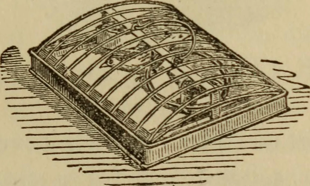 An illustration from Tricks and magic made easy, by Edward Summers Squier, M.A, 1919, leaf 176