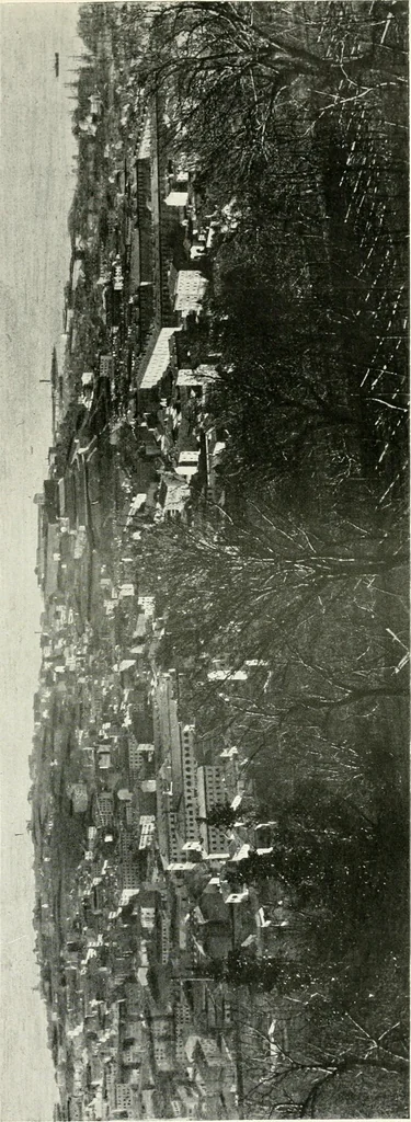 An illustration from Trieste, 1906, leaf 16