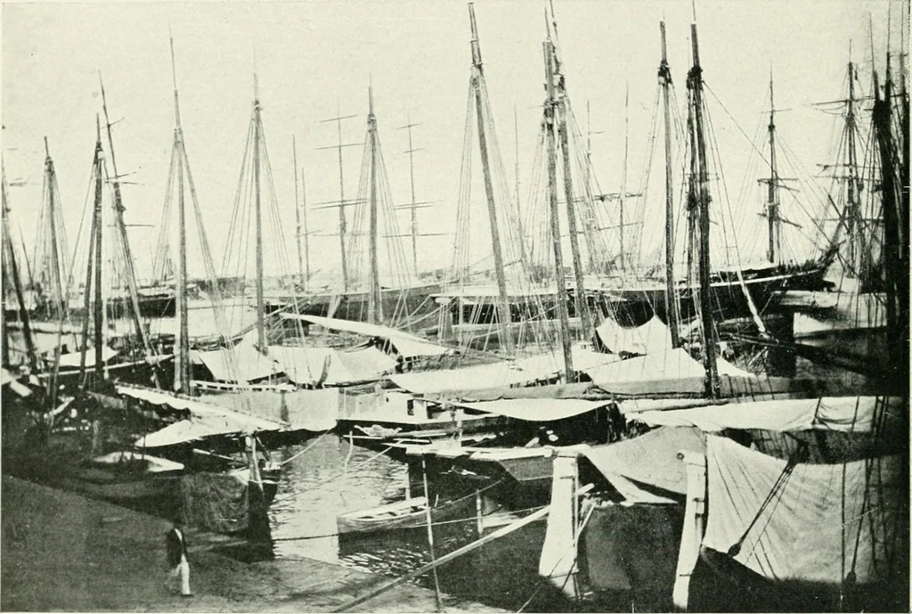 An illustration from Trieste, 1906, leaf 81