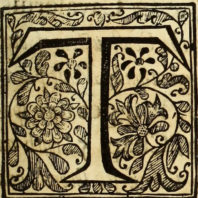 An illustration from Trigonometria, 1658, leaf 10
