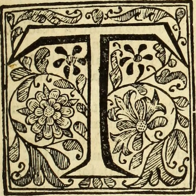 An illustration from Trigonometria, 1658, leaf 14