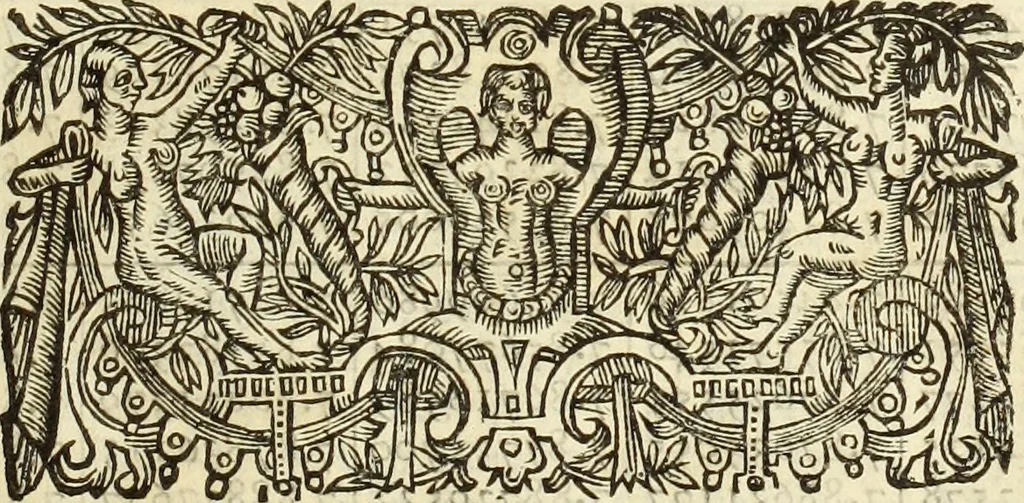 An illustration from Trigonometria, 1658, leaf 378