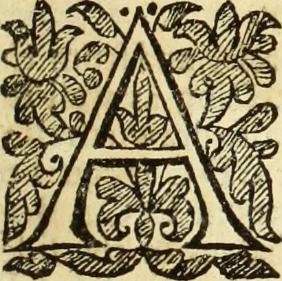An illustration from Trigonometria, 1658, leaf 56