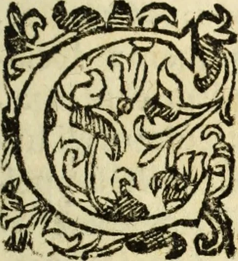 An illustration from Trigonometria Plana et Sphaerica, Linearis, and Logarithmica, 1643, leaf 10