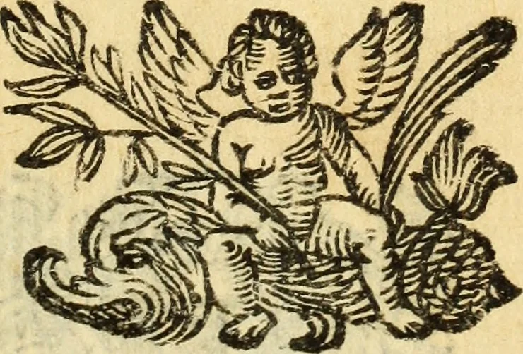 An illustration from Trigonometria Plana et Sphaerica, Linearis, and Logarithmica, 1643, leaf 196