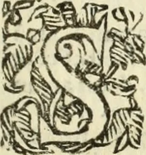 An illustration from Trigonometria Plana et Sphaerica, Linearis, and Logarithmica, 1643, leaf 28
