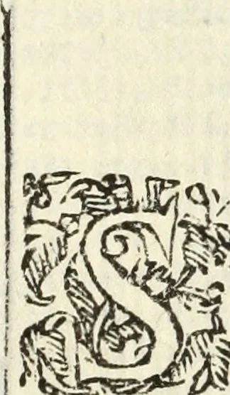 An illustration from Trigonometria Plana et Sphaerica, Linearis, and Logarithmica, 1643, leaf 53
