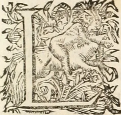 An illustration from Discours sur les arcs triomphaux dressés en la ville d'Aix, : a l'heureuse arrivée de Monseigneur le duc de Bourgogne, & de Monseigneur le duc de Berry, 1701, leaf 22