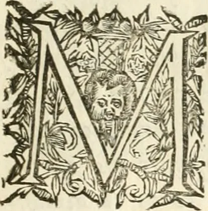 An illustration from Discours sur les arcs triomphaux dressés en la ville d'Aix, : a l'heureuse arrivée de Monseigneur le duc de Bourgogne, & de Monseigneur le duc de Berry, 1701, leaf 6