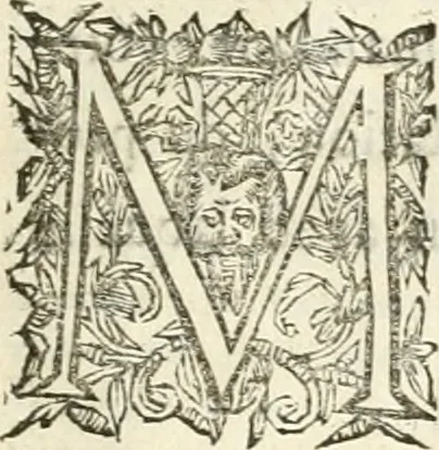 An illustration from Discours sur les arcs triomphaux dressés en la ville d'Aix, : a l'heureuse arrivée de Monseigneur le duc de Bourgogne, & de Monseigneur le duc de Berry, 1701, leaf 8