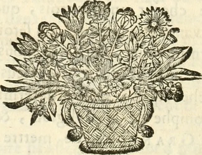 An illustration from Discours sur les arcs triomphaux dressés en la ville d'Aix, : a l'heureuse arrivée de Monseigneur le duc de Bourgogne, & de Monseigneur le duc de Berry, 1701, leaf 81