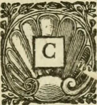 An illustration from A trip to the moon, 1728, leaf 98
