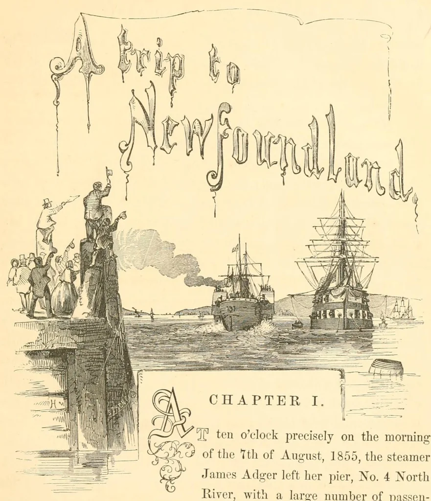 An illustration from A trip to Newfoundland; its scenery and fisheries; with an account of the laying of the submarine telegraph cable, 1855, leaf 11