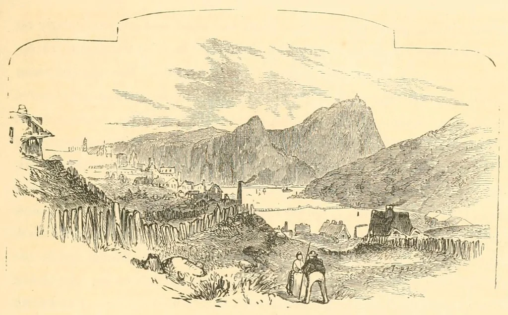 An illustration from A trip to Newfoundland; its scenery and fisheries; with an account of the laying of the submarine telegraph cable, 1855, leaf 31