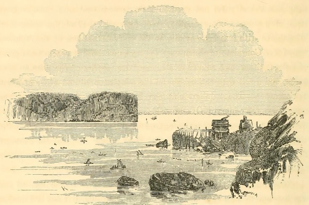 An illustration from A trip to Newfoundland; its scenery and fisheries; with an account of the laying of the submarine telegraph cable, 1855, leaf 42