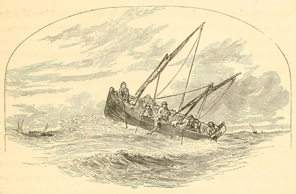 An illustration from A trip to Newfoundland; its scenery and fisheries; with an account of the laying of the submarine telegraph cable, 1855, leaf 51