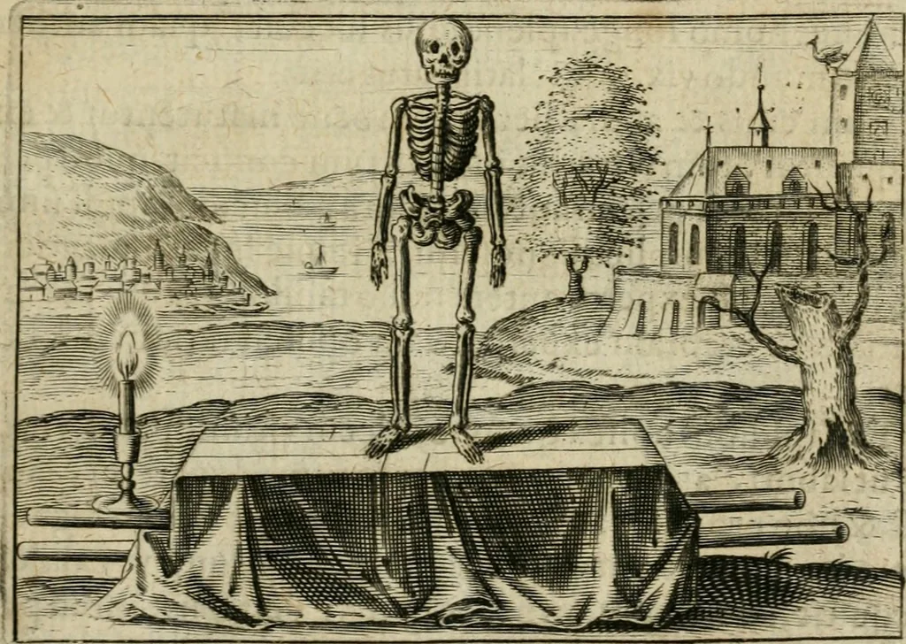 An illustration from Tripvs avrevs, hoc est, Tres tractatvs chymici selectissimi : nempe I. Basilii Valentini ... Practica vna cum 12. clauibus & appendice, ex Germanico; II. Thomæ Nortoni ... Crede mihi, seu, Ordinale, ante annos 140. ab authore scriptum, nunc ex Anglicano manuscripto in Latinum translatum, phrasi cuiusque authoris vt & sententia retenta; III. Cremeri ... Testamentum, hactenus nondum publicatum, 1618, leaf 36