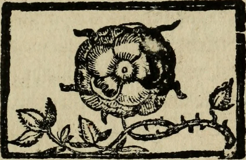An illustration from [Triumpho del monarcha Philippo Terceiro en la felicissima entrada de Lisboa, 1610, leaf 28