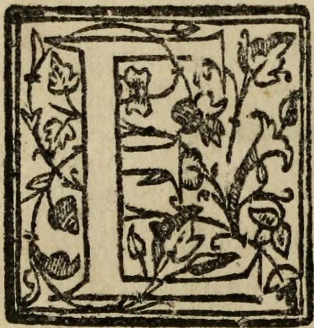 An illustration from [Triumpho del monarcha Philippo Terceiro en la felicissima entrada de Lisboa, 1610, leaf 29