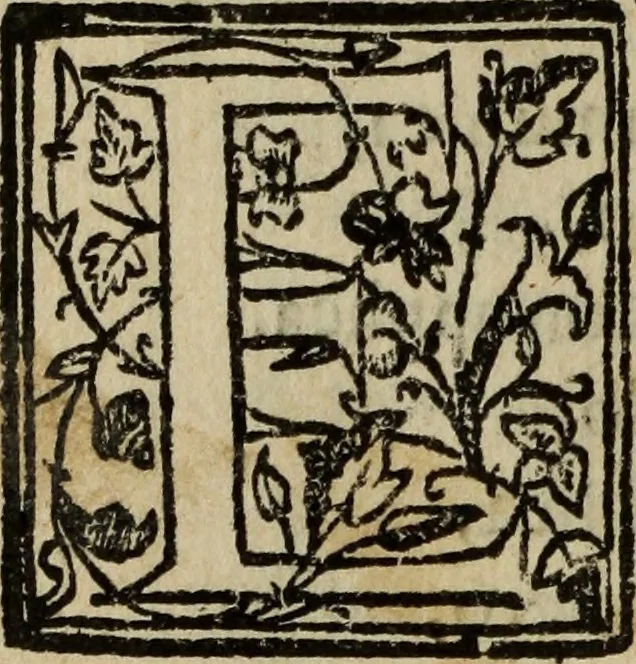 An illustration from [Triumpho del monarcha Philippo Terceiro en la felicissima entrada de Lisboa, 1610, leaf 49