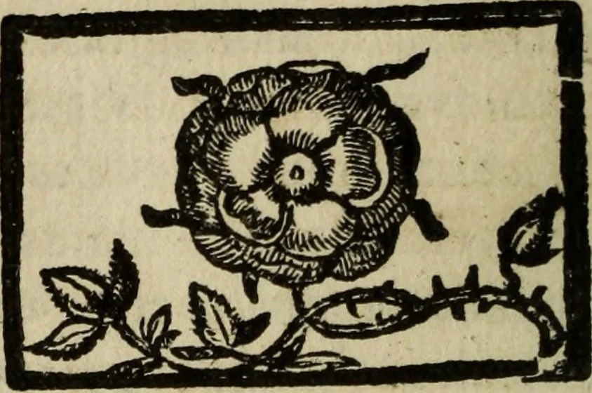 An illustration from [Triumpho del monarcha Philippo Terceiro en la felicissima entrada de Lisboa, 1610, leaf 67