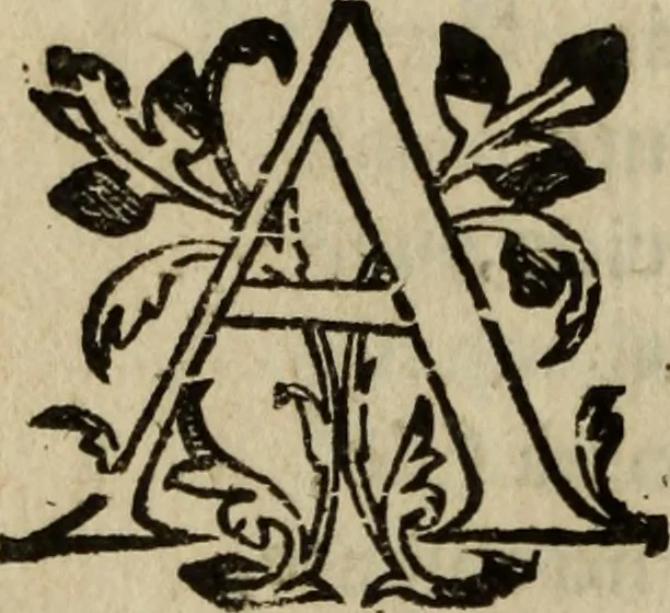An illustration from [Triumpho del monarcha Philippo Terceiro en la felicissima entrada de Lisboa, 1610, leaf 89