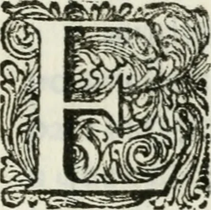 An illustration from Triumpho Lusitano, aplauzos festivos : sumptuosidades regias nos augustos despozorios do inclito Dom Pedro Segundo com a Serenissima Maria Sophia Izabel de Babiera, monarchas de Portugal : rellataõse as grandezas, narraõse as entradas referemse as festividades que se celebraraõ na insigne cidade e corte de Lisboa, desde 11. de agosto aihe 25. de outubro de 1687 : cujas descripcoes dedica ao senhor Jeronimo Nunes da Costa, 1688, leaf 122