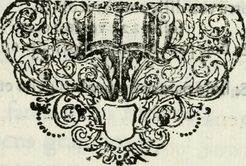 An illustration from Triumpho Lusitano, aplauzos festivos : sumptuosidades regias nos augustos despozorios do inclito Dom Pedro Segundo com a Serenissima Maria Sophia Izabel de Babiera, monarchas de Portugal : rellataõse as grandezas, narraõse as entradas referemse as festividades que se celebraraõ na insigne cidade e corte de Lisboa, desde 11. de agosto aihe 25. de outubro de 1687 : cujas descripcoes dedica ao senhor Jeronimo Nunes da Costa, 1688, leaf 14