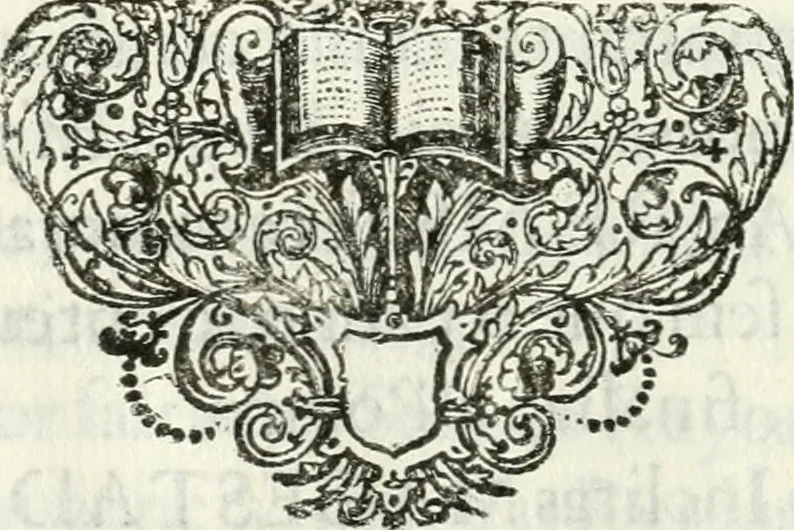 An illustration from Triumpho Lusitano, aplauzos festivos : sumptuosidades regias nos augustos despozorios do inclito Dom Pedro Segundo com a Serenissima Maria Sophia Izabel de Babiera, monarchas de Portugal : rellataõse as grandezas, narraõse as entradas referemse as festividades que se celebraraõ na insigne cidade e corte de Lisboa, desde 11. de agosto aihe 25. de outubro de 1687 : cujas descripcoes dedica ao senhor Jeronimo Nunes da Costa, 1688, leaf 161