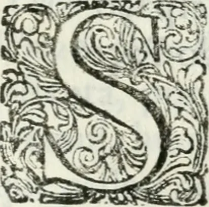 An illustration from Triumpho Lusitano, aplauzos festivos : sumptuosidades regias nos augustos despozorios do inclito Dom Pedro Segundo com a Serenissima Maria Sophia Izabel de Babiera, monarchas de Portugal : rellataõse as grandezas, narraõse as entradas referemse as festividades que se celebraraõ na insigne cidade e corte de Lisboa, desde 11. de agosto aihe 25. de outubro de 1687 : cujas descripcoes dedica ao senhor Jeronimo Nunes da Costa, 1688, leaf 162