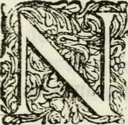 An illustration from Triumpho Lusitano, aplauzos festivos : sumptuosidades regias nos augustos despozorios do inclito Dom Pedro Segundo com a Serenissima Maria Sophia Izabel de Babiera, monarchas de Portugal : rellataõse as grandezas, narraõse as entradas referemse as festividades que se celebraraõ na insigne cidade e corte de Lisboa, desde 11. de agosto aihe 25. de outubro de 1687 : cujas descripcoes dedica ao senhor Jeronimo Nunes da Costa, 1688, leaf 306
