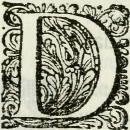 An illustration from Triumpho Lusitano, aplauzos festivos : sumptuosidades regias nos augustos despozorios do inclito Dom Pedro Segundo com a Serenissima Maria Sophia Izabel de Babiera, monarchas de Portugal : rellataõse as grandezas, narraõse as entradas referemse as festividades que se celebraraõ na insigne cidade e corte de Lisboa, desde 11. de agosto aihe 25. de outubro de 1687 : cujas descripcoes dedica ao senhor Jeronimo Nunes da Costa, 1688, leaf 74