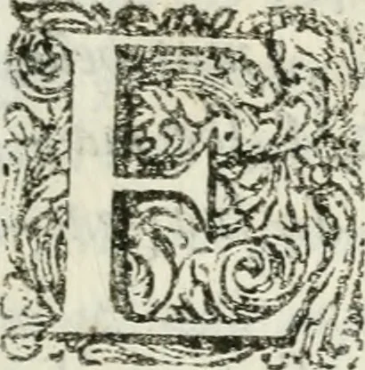 An illustration from Triumpho Lusitano, aplauzos festivos : sumptuosidades regias nos augustos despozorios do inclito Dom Pedro Segundo com a Serenissima Maria Sophia Izabel de Babiera, monarchas de Portugal : rellataõse as grandezas, narraõse as entradas referemse as festividades que se celebraraõ na insigne cidade e corte de Lisboa, desde 11. de agosto aihe 25. de outubro de 1687 : cujas descripcoes dedica ao senhor Jeronimo Nunes da Costa, 1688, leaf 8