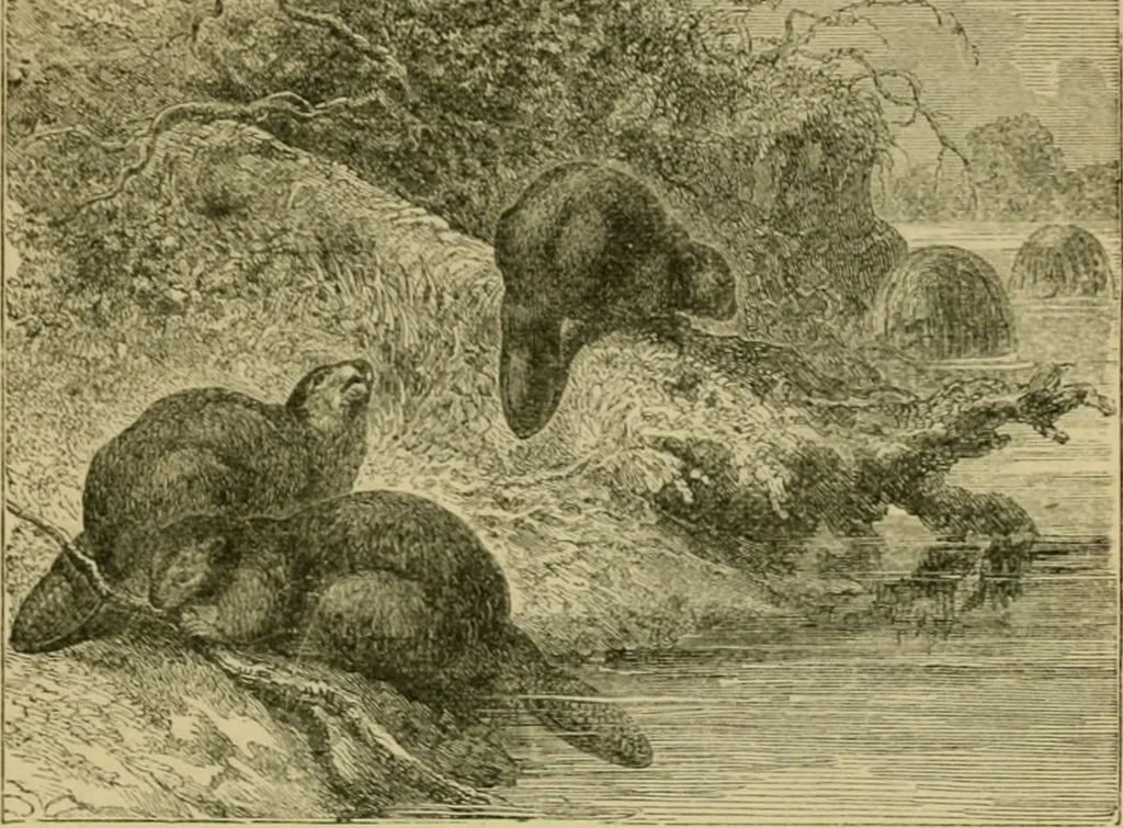 An illustration from Triumphs of invention and discovery in art and science, 1876, leaf 332