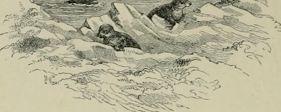 An illustration from Triumphs of invention and discovery in art and science, 1876, leaf 335